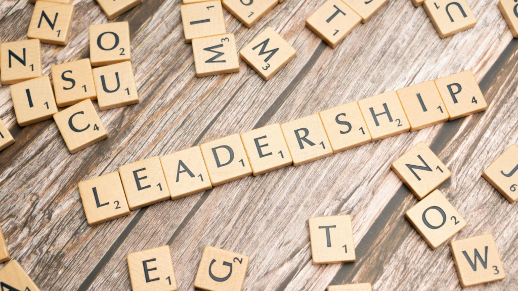 Leadership icon